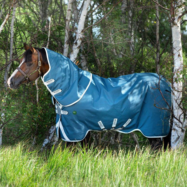 Couverture Horseware Ameco Bravo 12 Plus 0gr