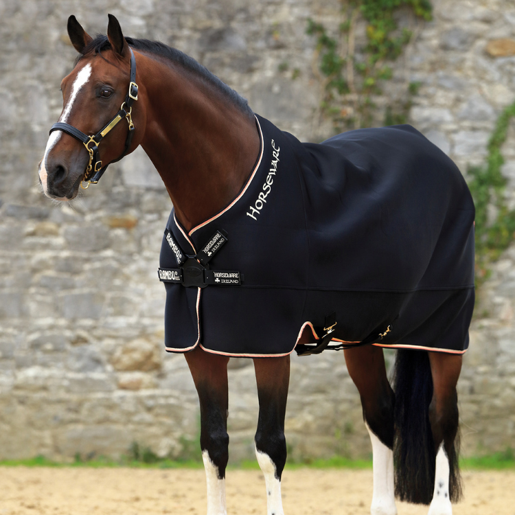Chemise séchante Horseware Airmax Cooler Disc noire