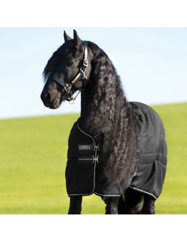 Couverture Horseware Rambo Stable Rug 400grs noire