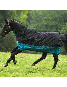 Horseware Mio All-In-One (200 Grams)