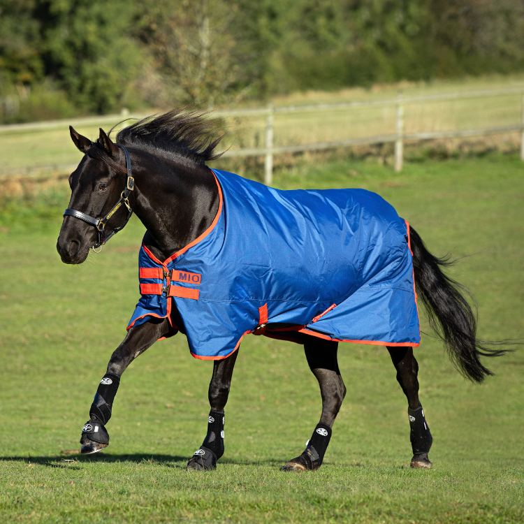 Couverture Horseware Mio Turnout 200grs marine/rouge
