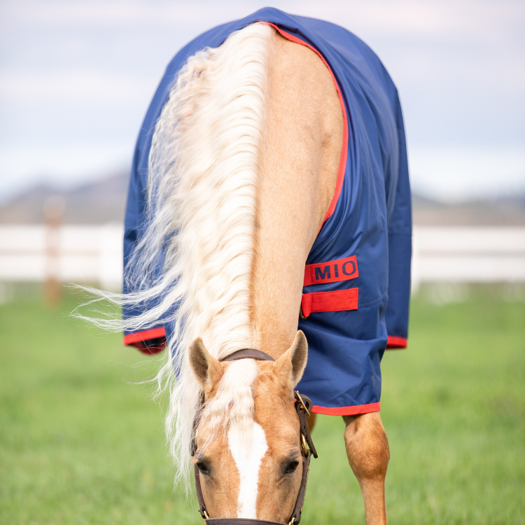 Couverture Horseware Mio Turnout 200grs marine/rouge