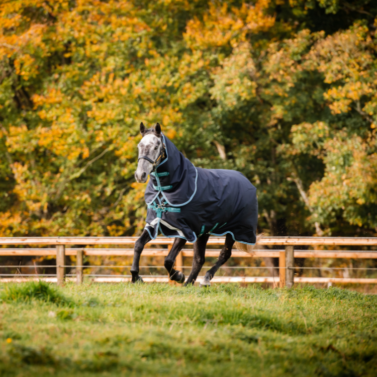 Couverture Horserware Amigo Bravo 12 plus 250grs marine turquoise