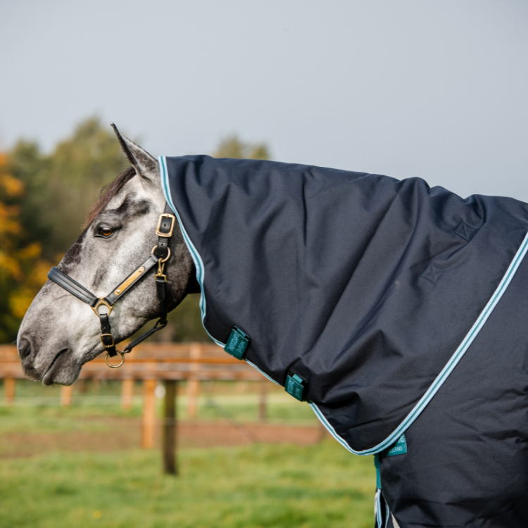 Couverture Horserware Amigo Bravo 12 plus 250grs marine turquoise