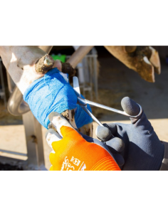 Ciseaux Kerbl A Pansement En Inox 2