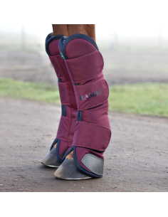 Protections de transport Horseware Rambo marine/bordeaux 2