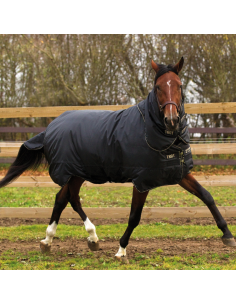 Couverture Horseware Trot Rug Plus 350grs noire