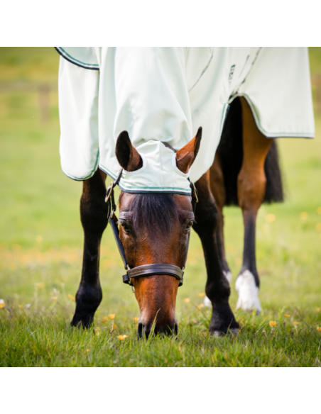 Chemise Horseware Rambo Hoody
