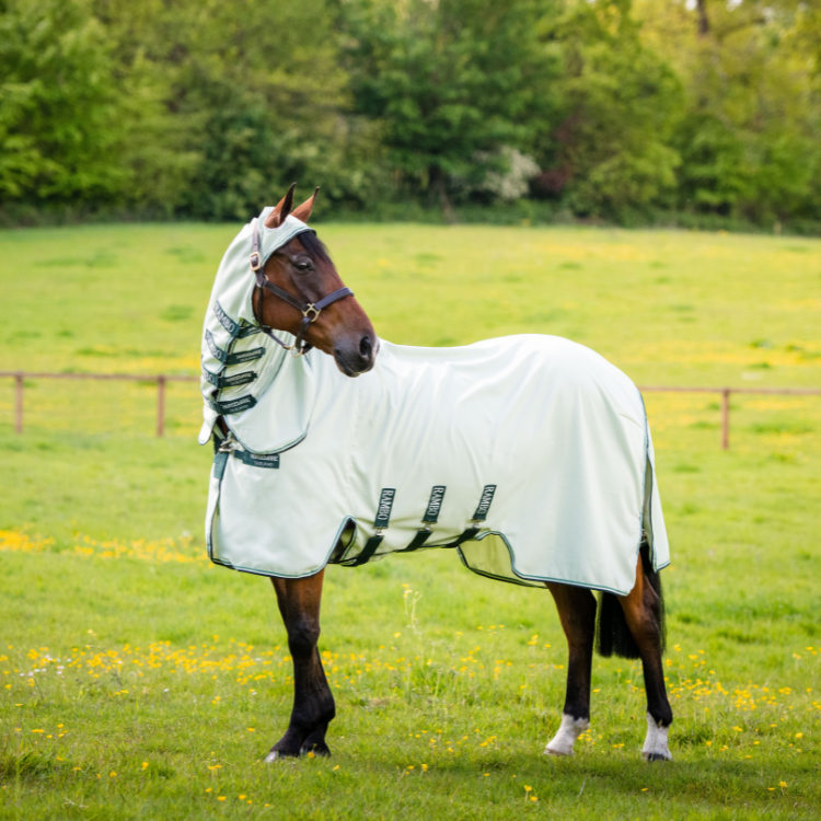 Chemise Horseware Rambo Hoody