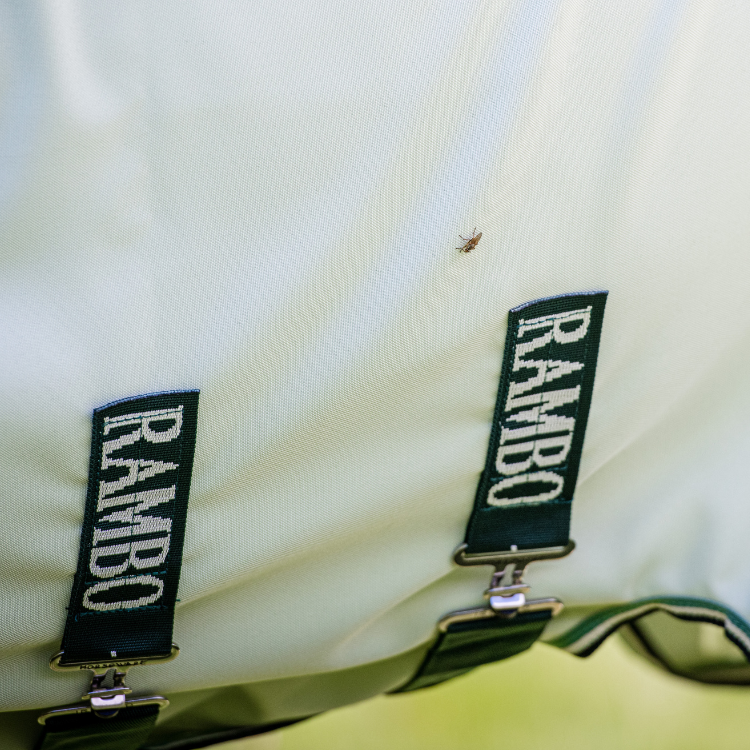 Chemise Horseware Rambo Hoody