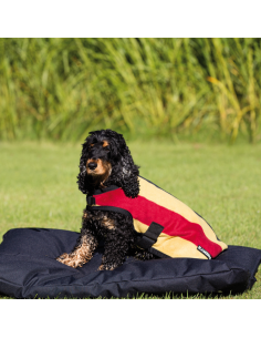 Manteau Chien Horseware Rambo Deluxe rayé gold