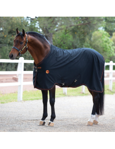 Chemise d'écurie Horseware Rambo Ionic