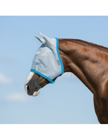 Masque anti-mouches Horseware Amigo Flymask bleu electrique