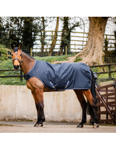 Horseware Amigo Walker Rug 100g