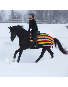 Horseware Rambo Competition Sheet
