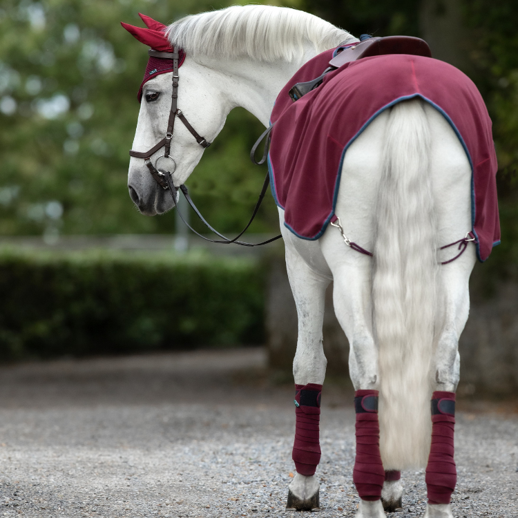 Couvre-Reins Horseware Rambo Waterproof Fleece Competition Sheet bordeaux
