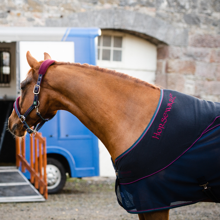 Chemise Horseware Rambo Sport Cooler marine