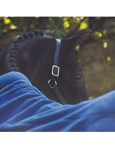 Chemise Polaire Horseware Rambo Cosy Fleece marine 2