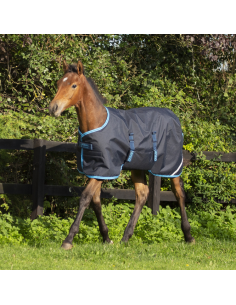 Couverture Horseware Amigo Foal marine/ bleu électrique