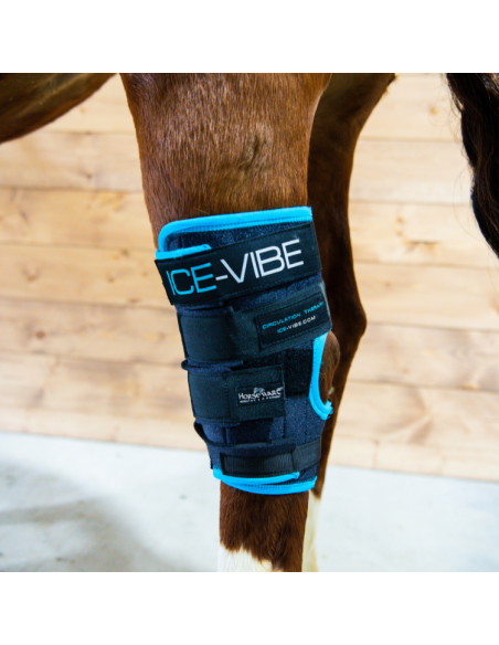 Guêtres Horseware Ice Vibe jarrets