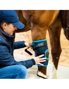 Horseware Ice-Vibe Hock... 2