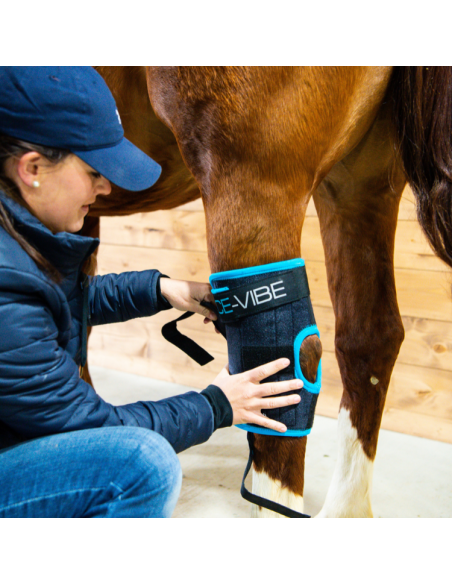 Guêtres Horseware Ice Vibe jarrets