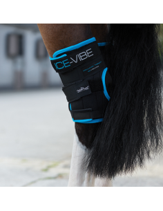 Horseware Ice-Vibe Hock...