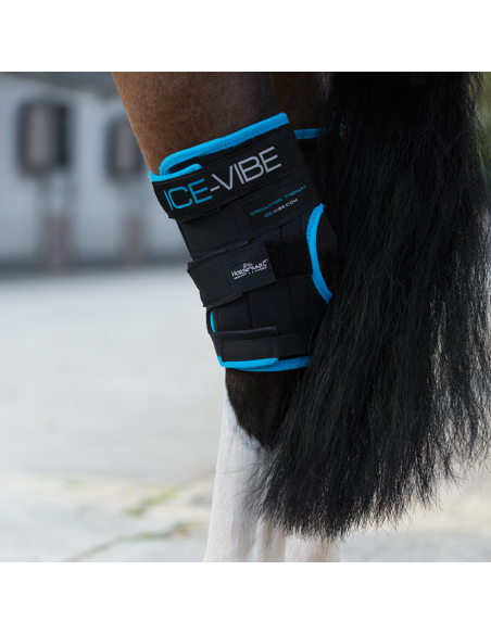 Guêtres Horseware Ice Vibe jarrets