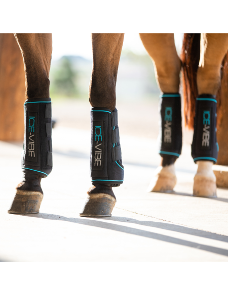 Guêtres Horseware Ice Vibe