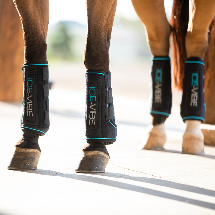 Horseware Ice-Vibe Boots