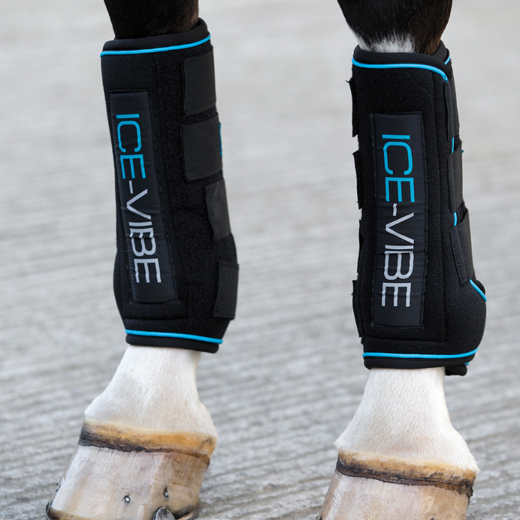 Guêtres Horseware Ice Vibe