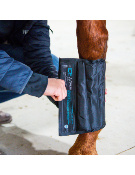 Guêtres Horseware Ice Vibe