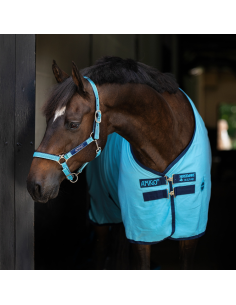 Chemise Horseware Amigo Stable Sheet bleu delphinium/marine