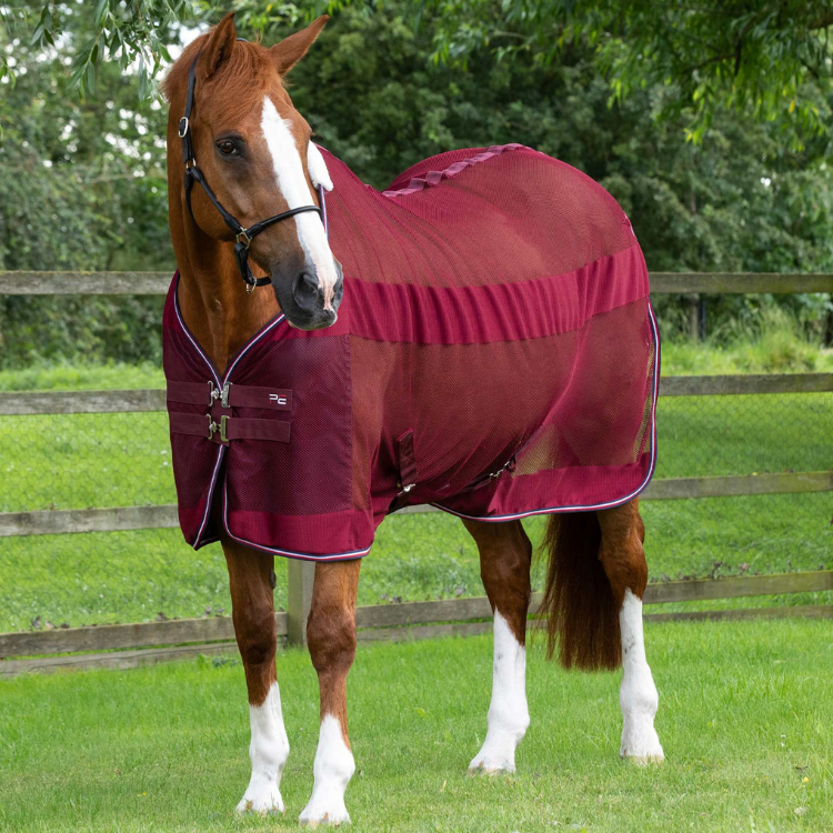 Couverture Séchante Premier Equine Arisca BORDEAUX