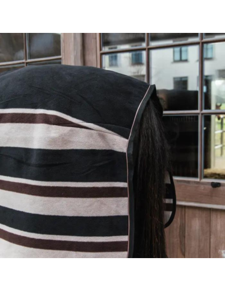 Chemise Kentucky Fleece Heavy rayé marron