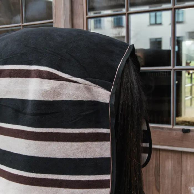 Chemise Kentucky Fleece Heavy rayé marron