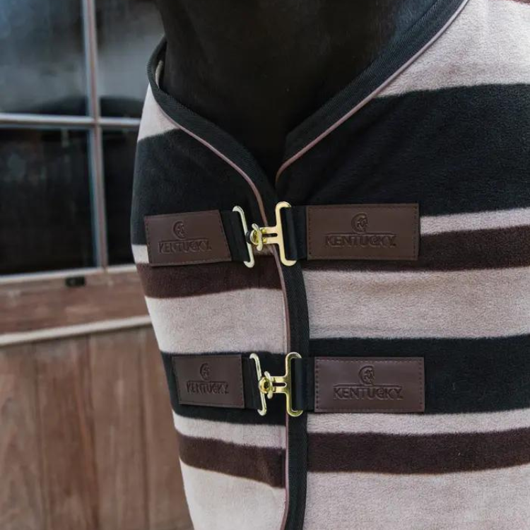 Chemise Kentucky Fleece Heavy rayé marron