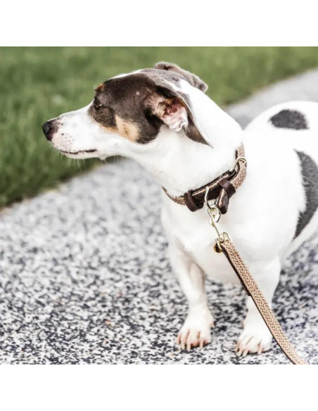 Laisse Kentucky Nylon Tressé 120 cm beige