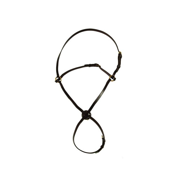 Muserolle croisée Chetak