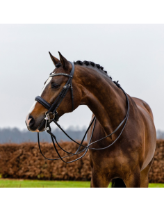 Bride Trust Wellington 2