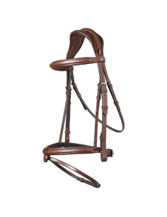 Bridon Trust Geneva 2