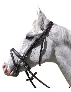 Bridon Flags & Cup Goteborg