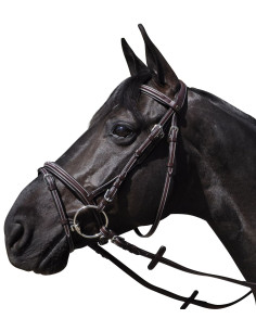 Bridon Flags & Cup Wellington