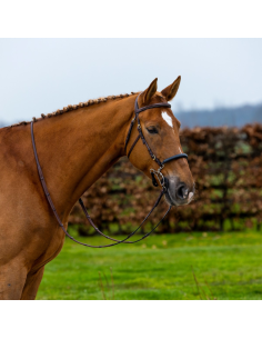 Bridon Trust Hackamore Hickstead 2
