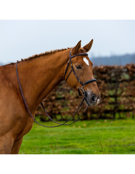Bridon Trust Hackamore Hickstead noir