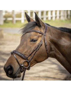 Penelope "Smoothie" Bridle Havana
