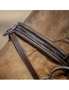 Penelope "Smoothie" Bridle Havana 2