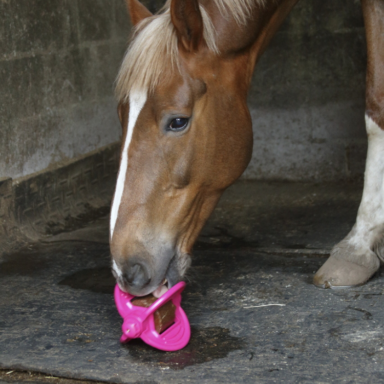 Quel poids supporte un cheval ? - Litières pour chevaux