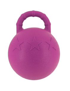 Play Ball With Handle Hippotonic for Horses Royal Blue 2