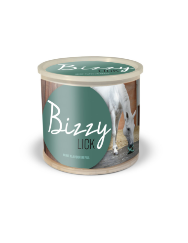 Pierre Bizzy Horse "Bizzy Lick" Menthe